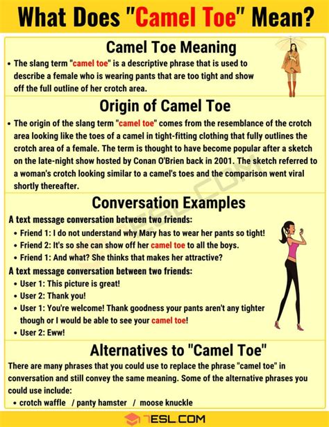 Camel Toe: What You Need To Know .